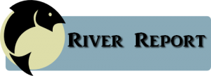 North Santiam River Report